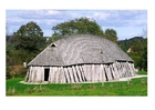 Foto casa viking
