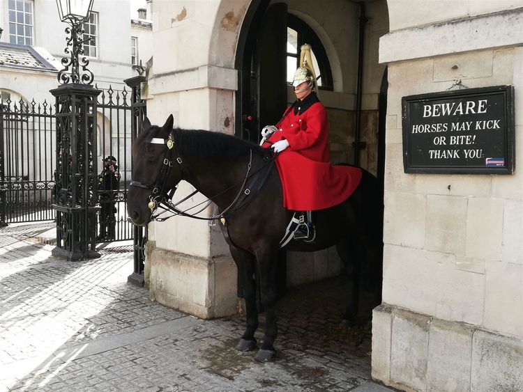Foto Cavalaria domÃ©stica Londres