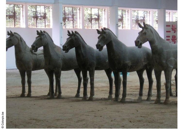 Foto cavalos Xian