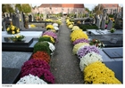 Fotos cemitério