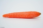 Fotos cenoura