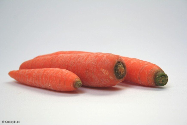Foto cenouras