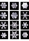 Fotos cristais de neve