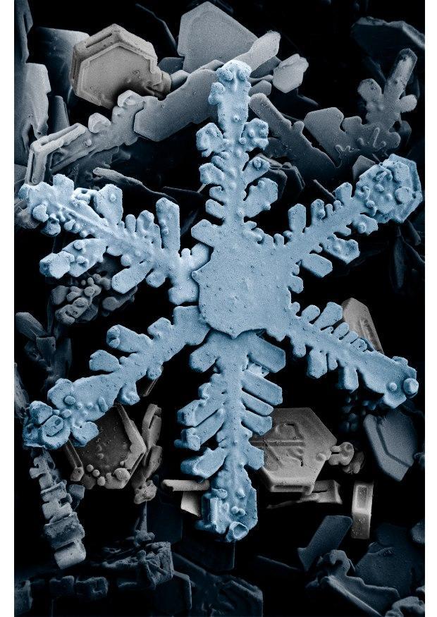 Foto cristal de neve no microscÃ³pio