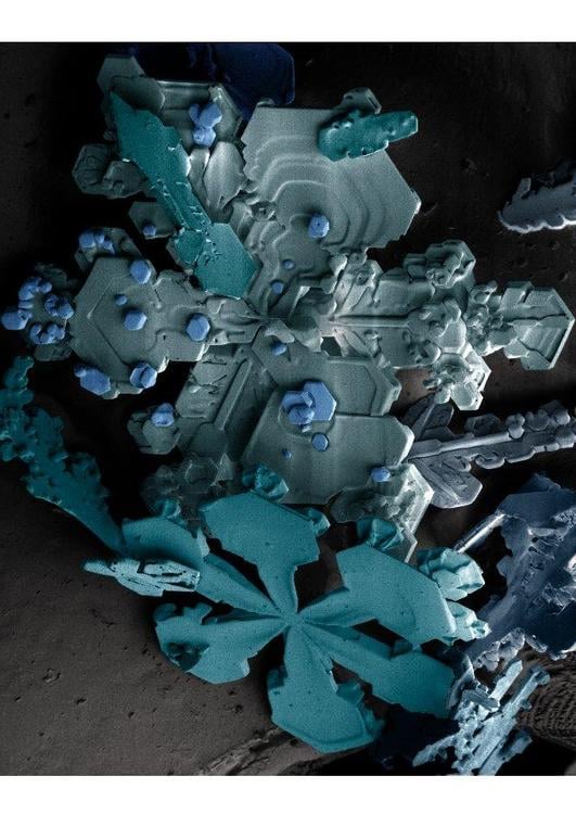 cristal de neve no microscÃ³pio