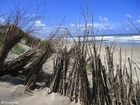 foto dunas 7