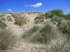 Foto dunas