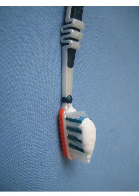 escova de dente com pasta de dente 