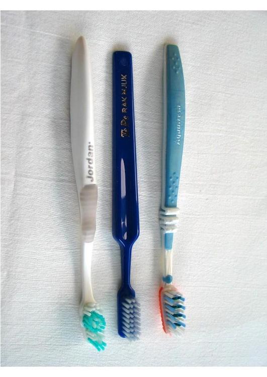 escovas de dentes 