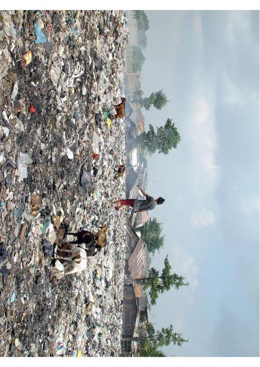 favela em Jakarta