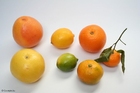 foto frutas cítricas