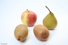 foto frutas com e sem caroço