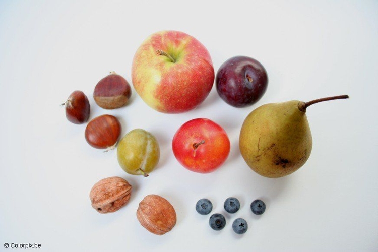 Foto frutas nativas