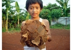 foto futebol