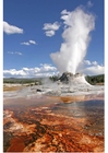 gêiser em erupção, Yellowstone National Park, Wyoming, USA