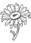 Página para colorir girassóis