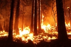 foto incêndio florestal