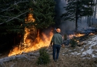 foto incêndio florestal
