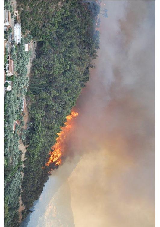 incÃªndio florestal