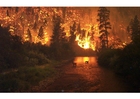 Fotos incêndio florestal