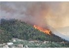 Fotos incêndio florestal