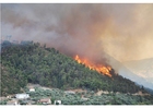 foto incêndio florestal