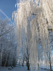 Foto inverno 6