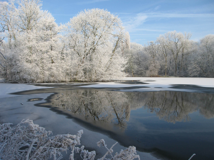 Foto inverno