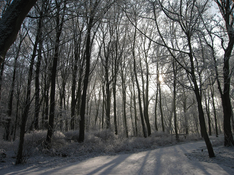 Foto inverno 