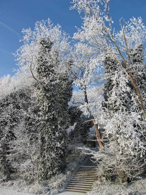 Foto inverno