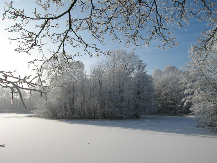 Foto inverno