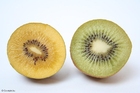 foto kiwi amarelo e verde