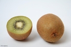 foto kiwi