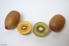 foto kiwi verde e amarelo