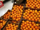 Foto laranjas