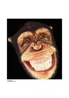 Fotos macaco