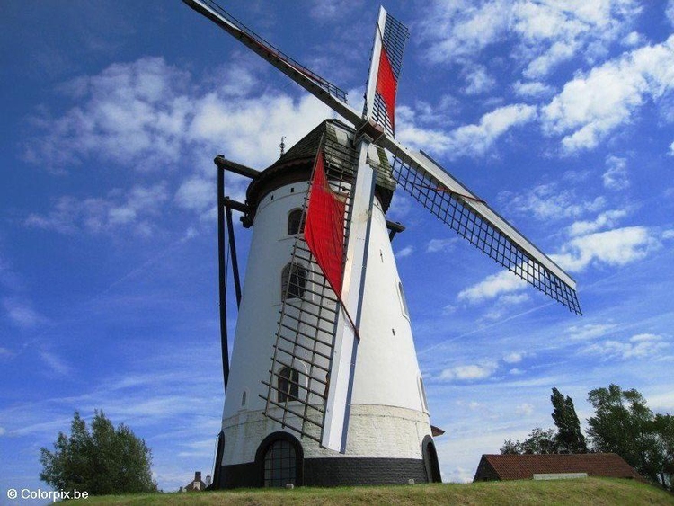 Foto moinho de vento 2