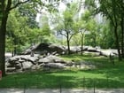 Fotos New York - Central Park