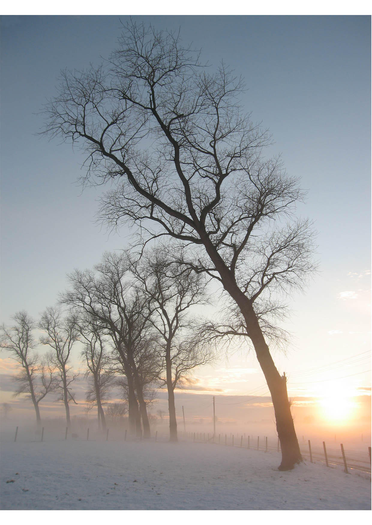 Foto paisagem de inverno