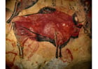 pintura pré-histórica - bisonte 