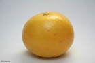 foto pomelo