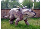 foto réplica de styracosaurus