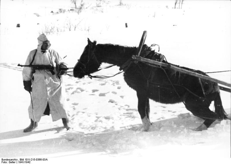Foto Russia - soldado com o cavalo no inverno 