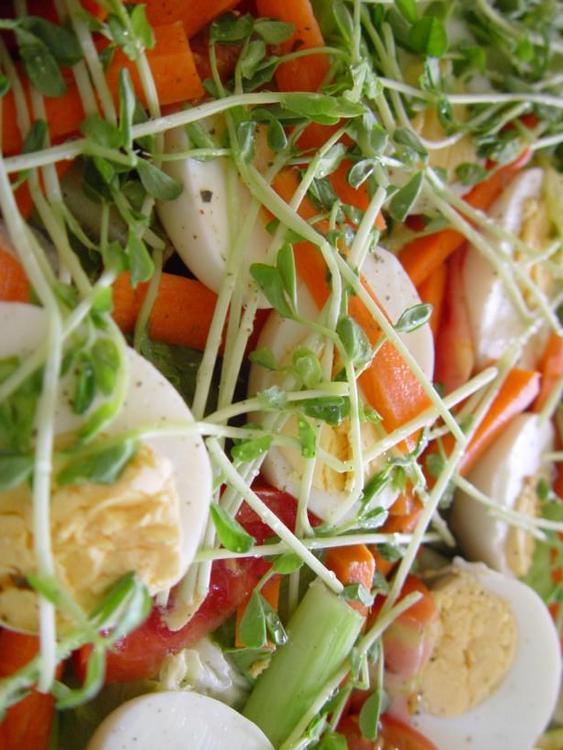 salada