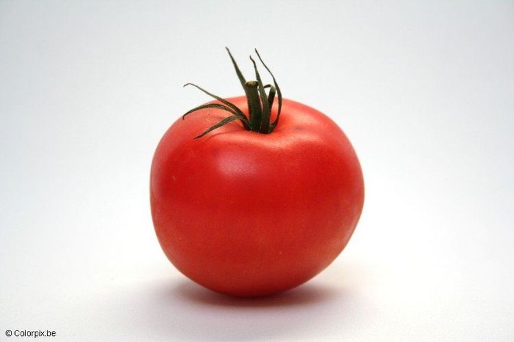 Foto tomate