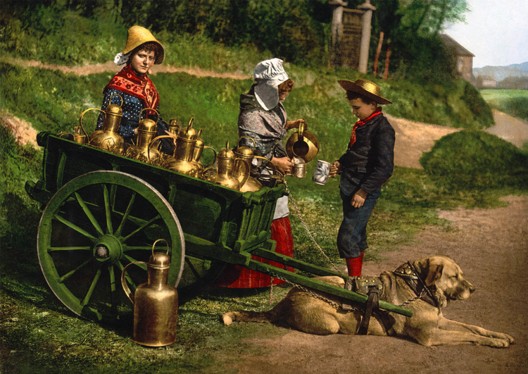 Foto vendedores de leita com charrete - 1890 BÃ©lgica 
