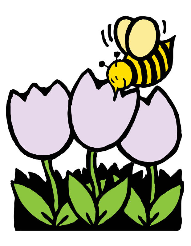 imagem abelha na tulipa 