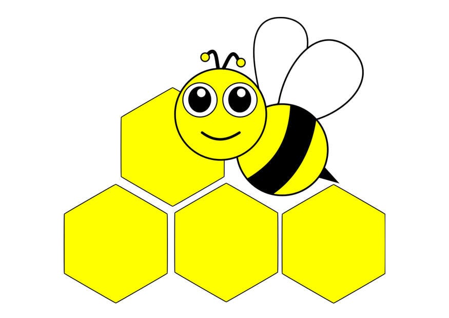 imagem abelha - parte da frente 