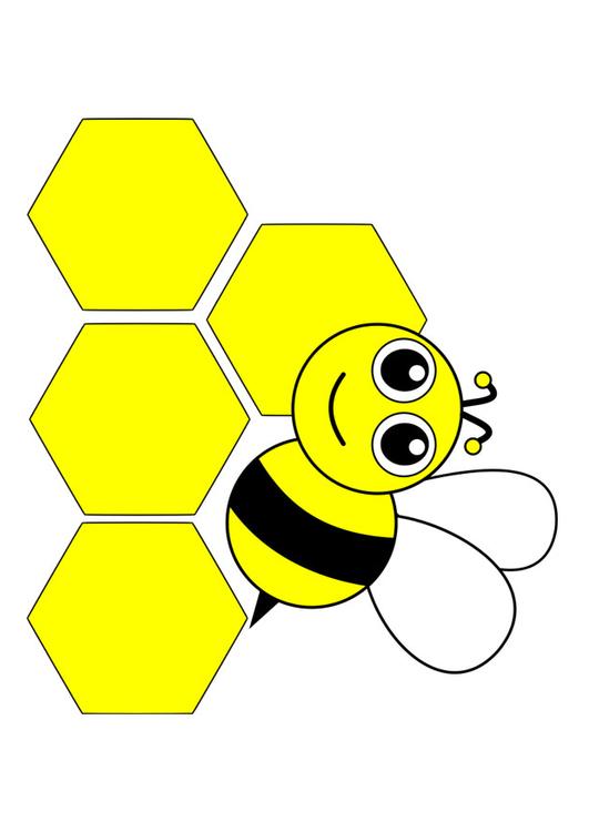 abelha - parte da frente 