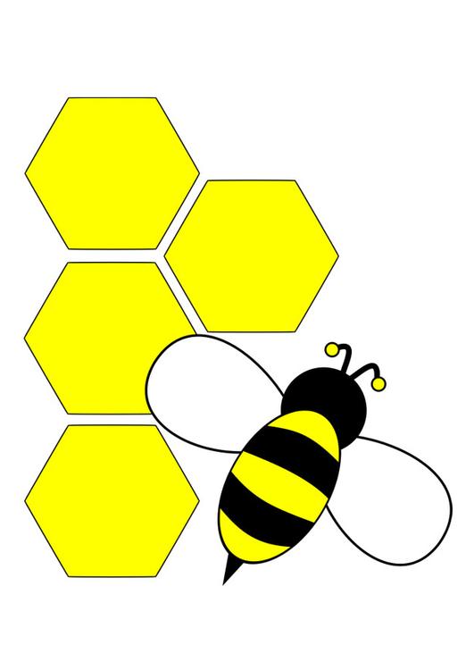 abelha - parte de trÃ¡s 